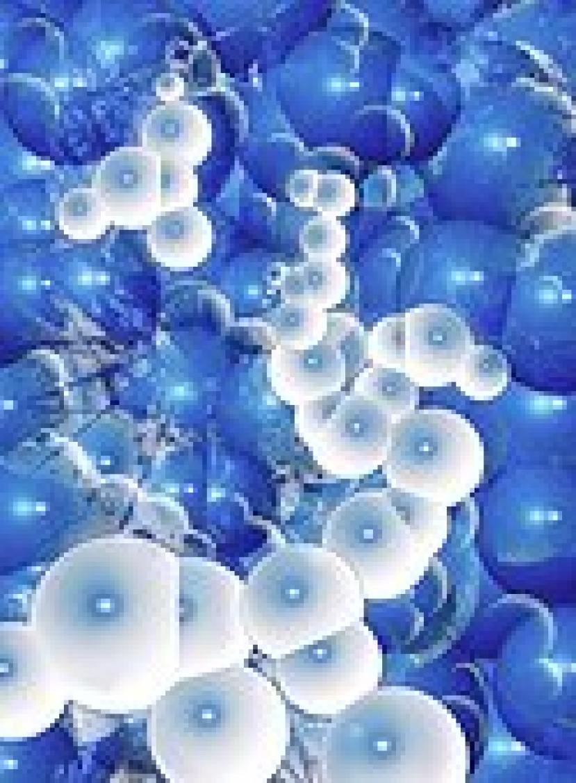 胚胎幹細胞首次無需從人類胚胎提取 有關倫理爭議可望結束