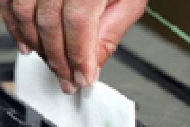 麻州發起簽名運動 冀修憲廢同性婚姻