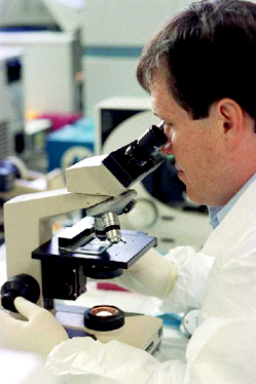 同性戀成為德國愛滋病病毒感染者增多主因