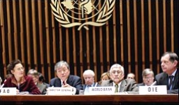 日內瓦召開全球會議 商討如何應對禽流感和人類大流行性流感