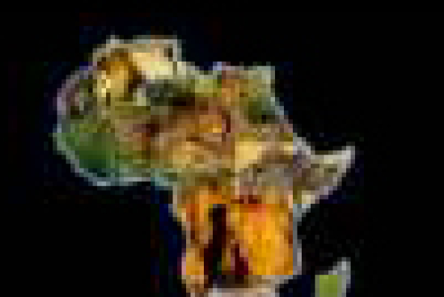 南非料將成為非洲大陸首個同性戀婚姻合法國家