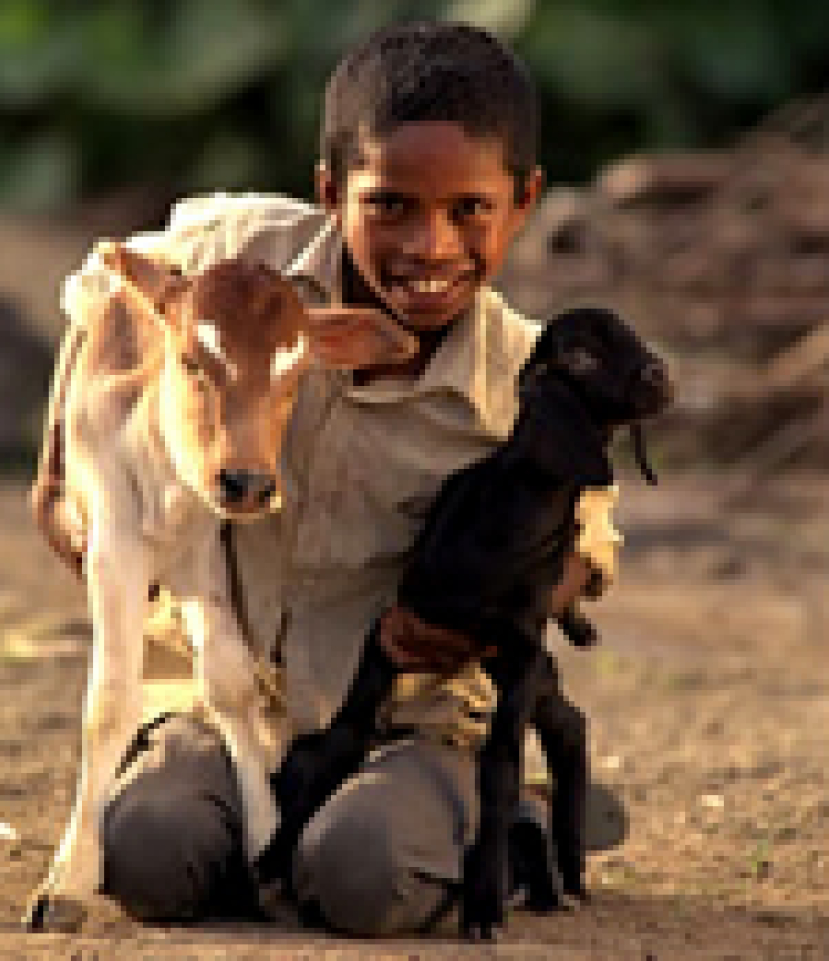 一隻白兔，改變一家人的生命?