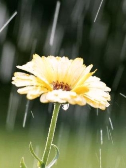 每日經歷神：儀式或關係？