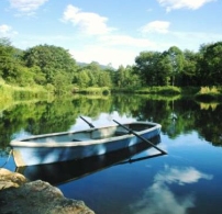 每日經歷神：禱告明白神的行事曆