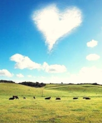 每日經歷神：神的話語能對症下藥