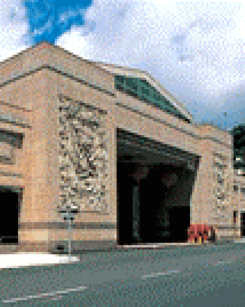 華福大會報名踴躍 泰國、加拿大區報名人數已超額