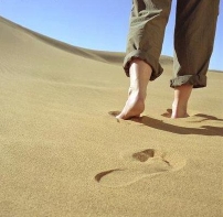 每日經歷神：君尊的祭司