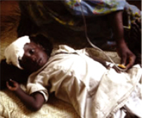 一年一度「饑饉三十」4月22日香港仔運動場見