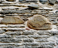 每日經歷神：冷酷的愛