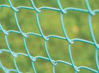 每日經歷神：赦免人，也被赦免