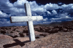 每日經歷神：背起你的十字架