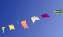 每日經歷神：聖靈將你安置在何處？