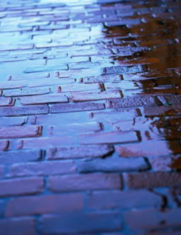 每日經歷神：你為甚麼懷疑？