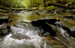每日經歷神：當基督下達命令時
