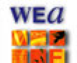 世界福音派聯盟對聯合國新人權委員會表示支持