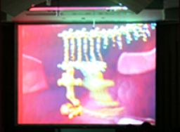 「揭開生命的奧秘」掀起對進化論與智慧設計的討論