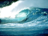 每日經歷神：神完全的保護