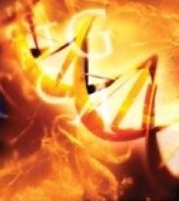 基督徒科學家錢錕教授 揭示「進化論的真相」