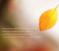 每日經歷神：忌邪的神