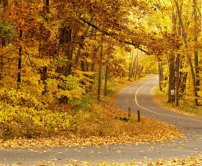 每日經歷神：一步步得勝利