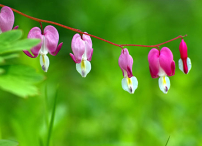 每日經歷神：自我謙卑