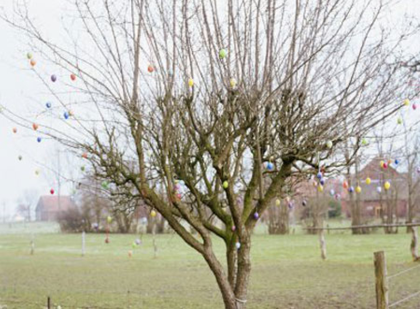 每日經歷神：動 機