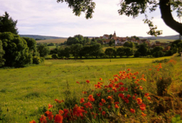 每日經歷神：不要迷失在人群中
