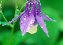 每日經歷神：稱惡為善，稱善為惡