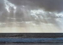 每日經歷神：清心的人