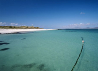 每日經歷神：凡物都潔淨