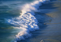 每日經歷神：相信神的智慧