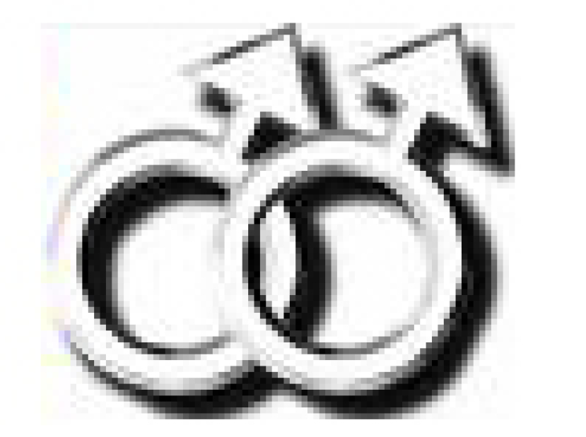 台灣同性戀提案遭撤回 提案者揚言不會放棄