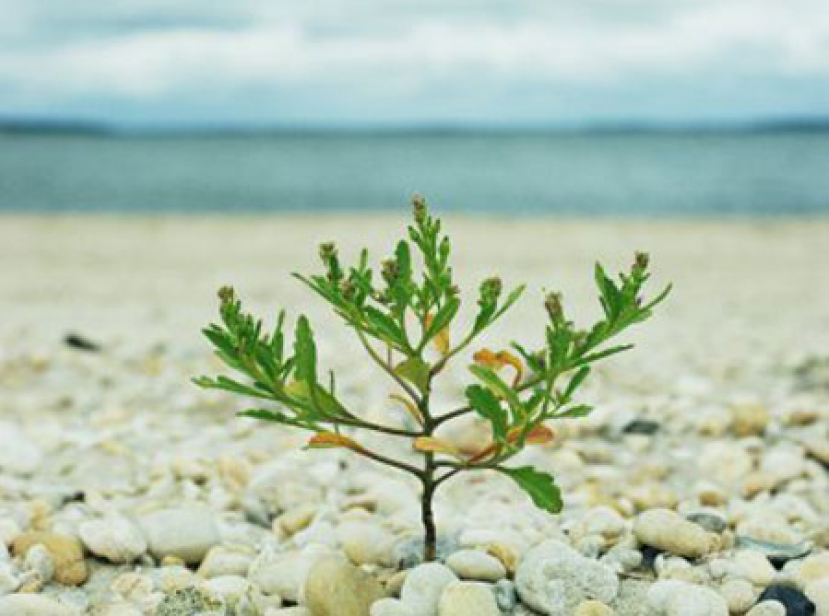 《市井聖徒》：成長的空間