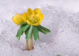 《市井聖徒》：突破困局