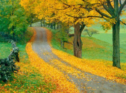 靈命的陶造：三月十一日