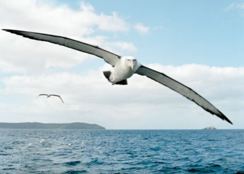 靈命的陶造：三月十三日