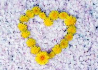 靈命的陶造：三月十四日