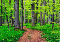 靈命的陶造：三月十九日