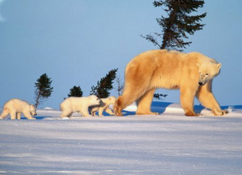 靈命的陶造：三月二十三日