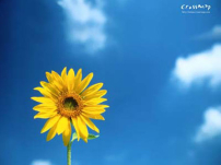 靈命的陶造：三月三十日