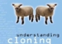 澳洲聖公會加入到反對克隆議案的隊伍中