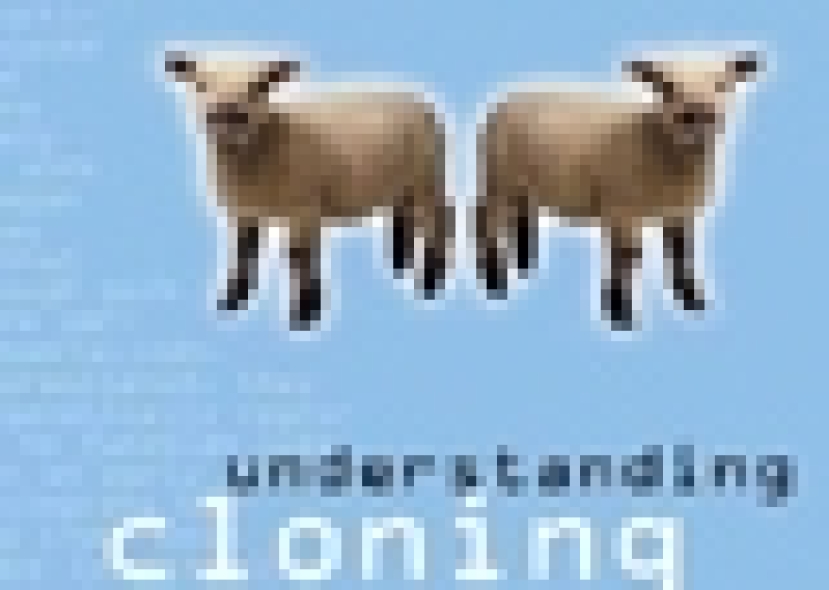 澳洲聖公會加入到反對克隆議案的隊伍中