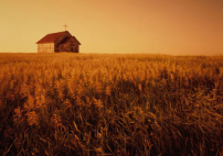 《市井聖徒》：萬民的殿