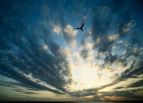 《市井聖徒》：義憤填膺