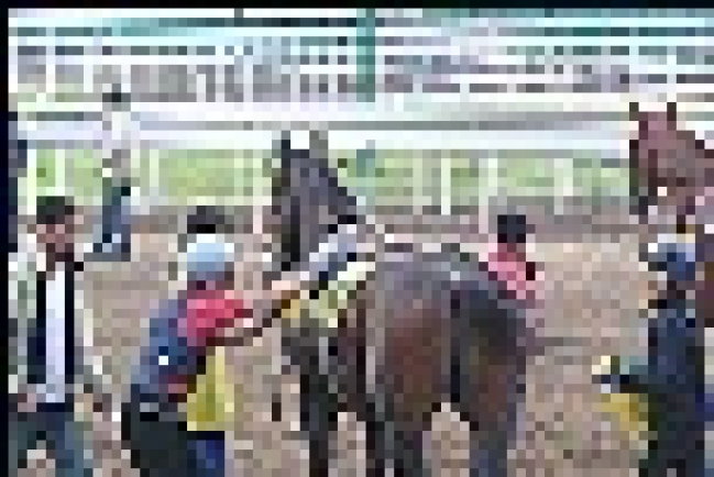 馬主的天倫樂？