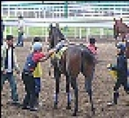 馬主的天倫樂？