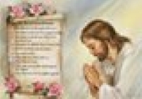 聖經查詢網站：《以弗所書》人氣指數最高