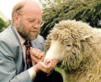 克隆羊之父宣佈放棄人類幹細胞克隆研究
