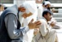 穆斯林領袖向基督徒送出聖誕祝福