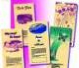 美七十所台福教會聯合推動福音單張運動